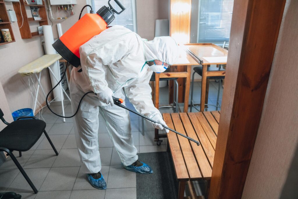 Mould inspection Brisbane